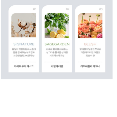 [블랑101] 유기농세제 베페 이벤트 43%까지 할인!